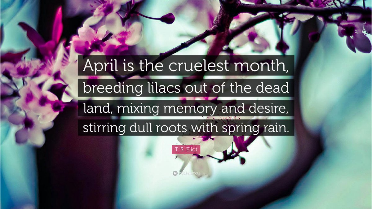 »#April is the cruelest month, breeding #Lilacs out of the dead land, mixing memory and desire, stirring dull roots with #Spring rain.«

- T.S. Eliot (The Waste Land)

🌷💔🥀

#AprilFlowers #AprilThrills

#Seasons

#Springfeelings #SpringAwakening #Springtime

#QuoteOfTheDay