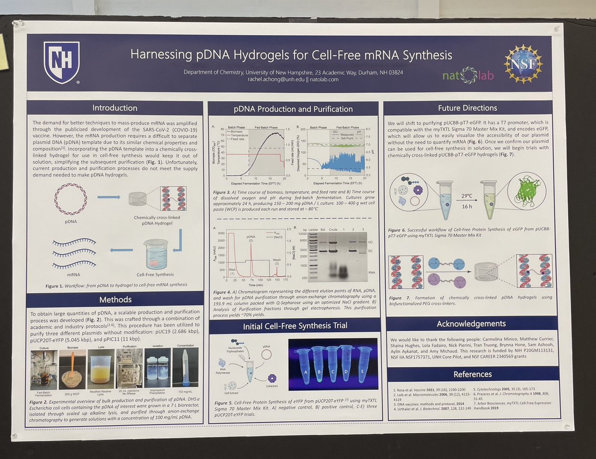 Harnessing pDNA Hydrogels for Cell-Free mRNA Synthesis at University of New Hampshire.

Impressive!!!  That was a lot of science and brain power for me.