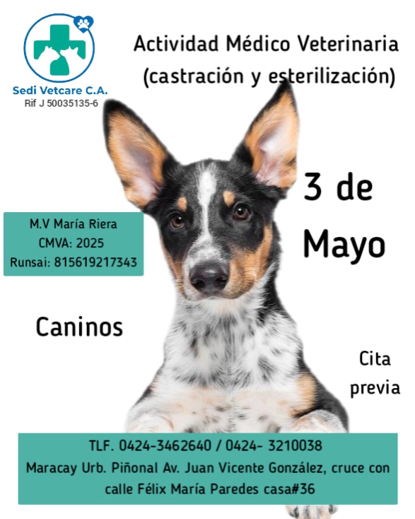 sedivetcare's tweet photo. Actividad Médica Veterinaria para caninos 🐶 (castración)

☎️Escríbenos a los siguientes números para mayor información 0424- 3210038 /
 0424- 3462640
.
Estamos ubicados⬇️ 
.
 Urbanización Piñonal, Av. Juan Vicente González, casa # 36 

#mcy #caninos #castraesalvavidas https://t.co/wrvTUfgcVn