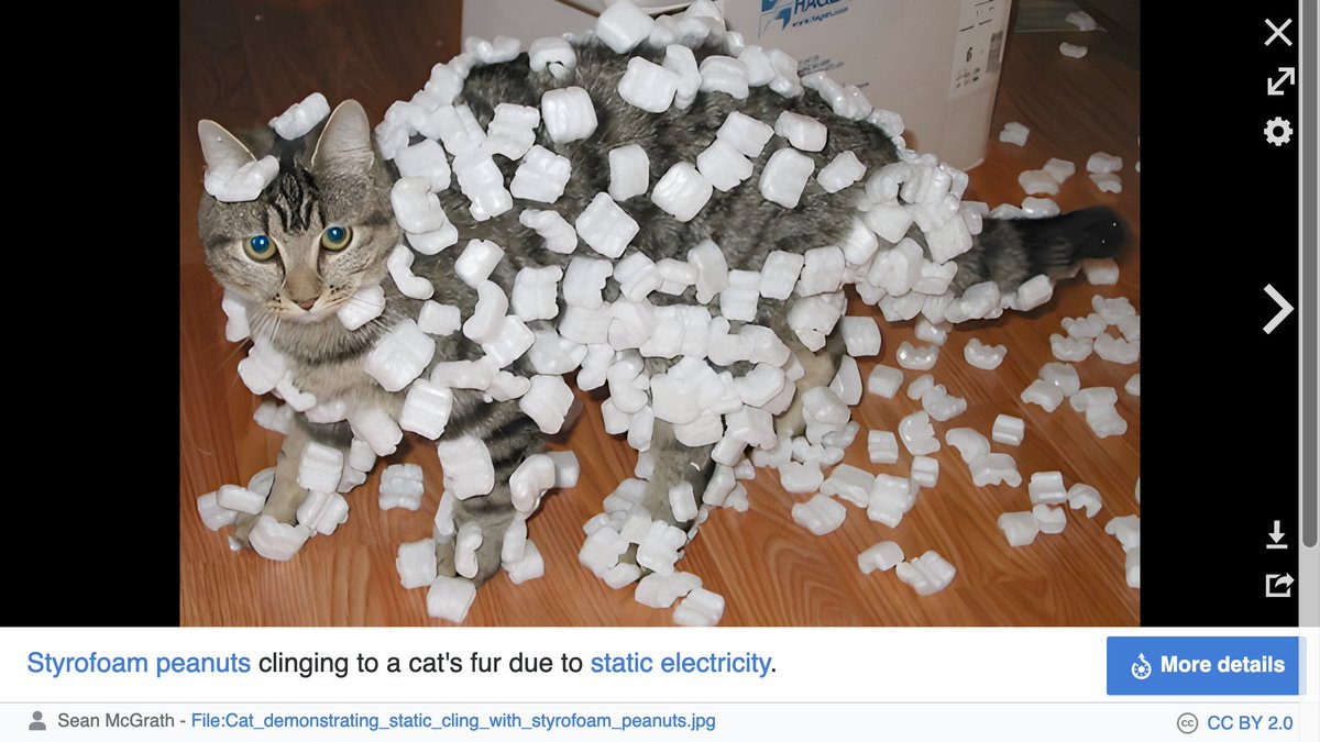 Federico Cingolani tweet media