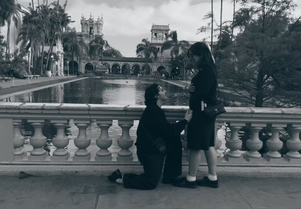 nina 🕊️ tweet media