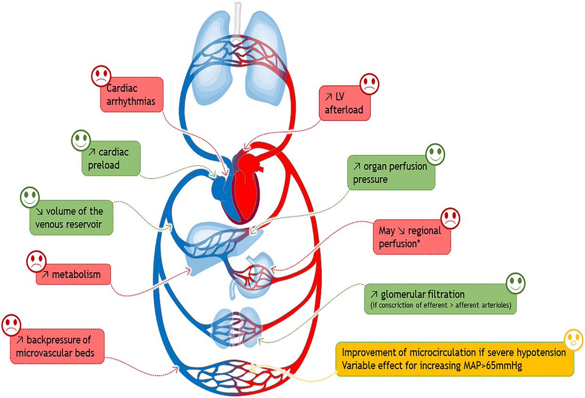 6/9
The interventions we use to increase blood pressure come with costs that may counterbalance:

•Arrhythmia⚡
•Increased backpressure on vascular beds🔄
•Elevated metabolism 🔥
•Hyperglycemia 🍬
•Hypoperfusion ❄️
•Skin necrosis 🩹
•Increased LV afterload 💔