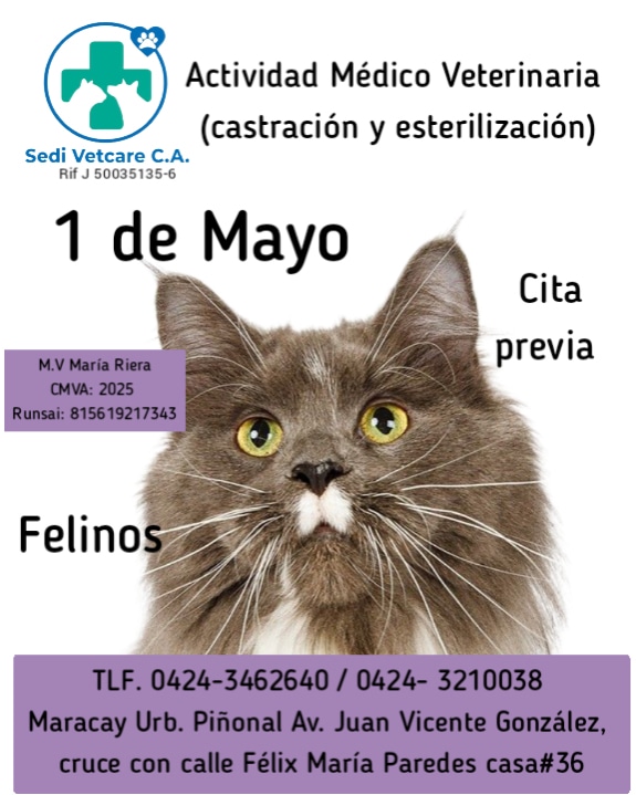 sedivetcare's tweet photo. Actividad Médica Veterinaria para felinos 😺 (esterilización y castración)

☎️Escríbenos a los siguientes números para mayor información 0424- 3210038 /
 0424- 3462640
.
Estamos ubicados⬇️ 

 Urbanización Piñonal, Av. Juan Vicente González, casa # 36 
 
#mcy  #castrarsalvavidas https://t.co/ft7hwqugut