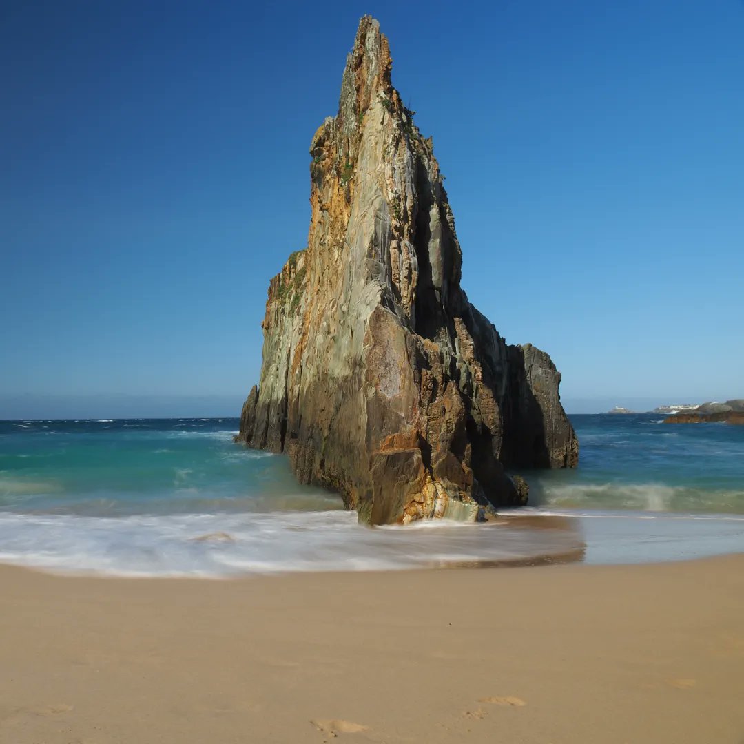 Francisca Tugores tweet media