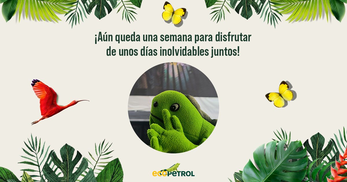 Entre libros y charlas inspiradoras, la @FILBogota nos recordó la importancia de cuidar nuestro planeta.💚 En Ecopetrol⚡, trabajamos por una transición energética justa y sostenible, apostando por la conexión con la naturaleza. ¡Acompáñanos y #LeeLaNaturaleza! 📚#FILBO2024