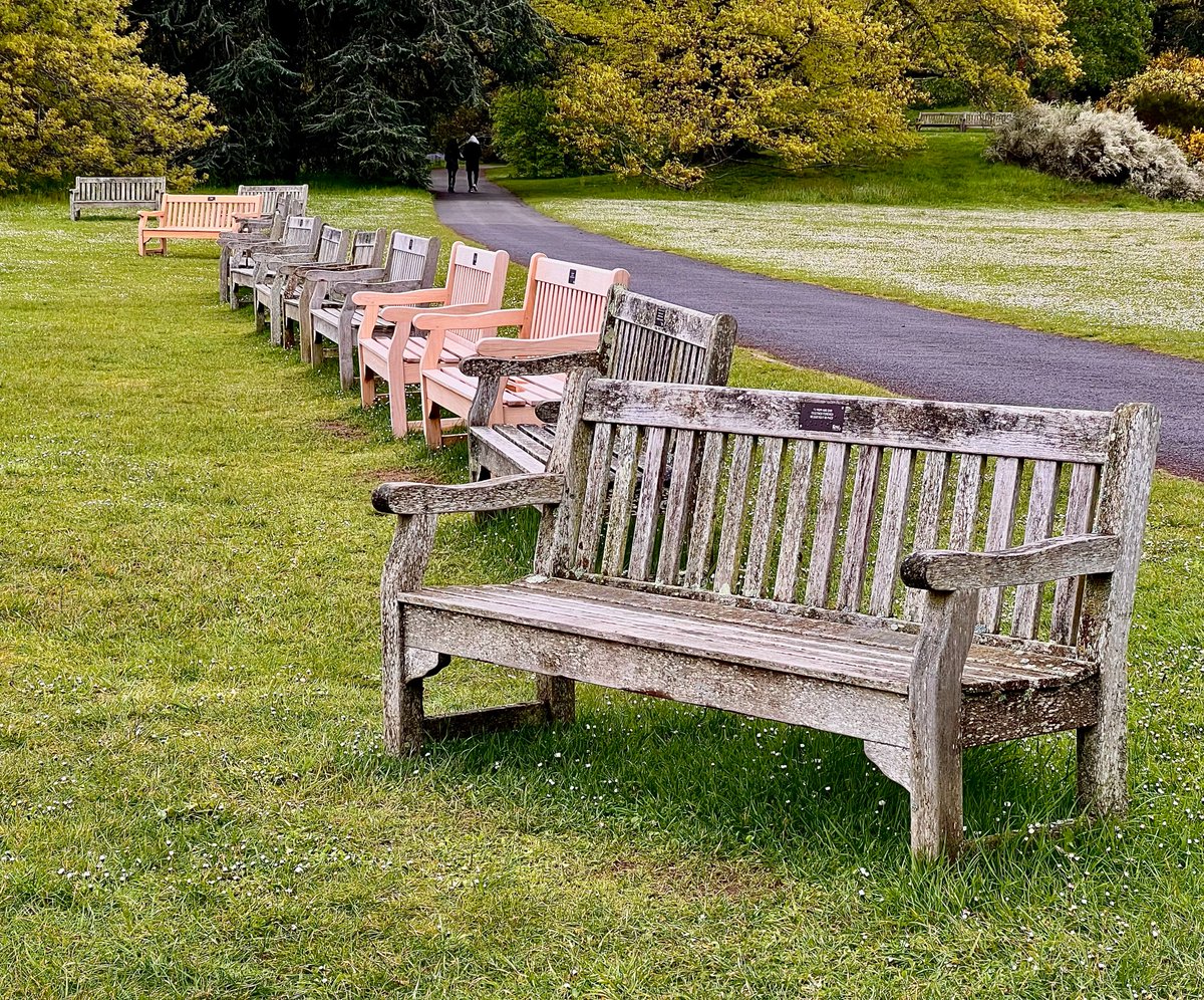 #woodensday - no takers for the benches overlooking the Thames at Kew Gardens on an unseasonably cold day