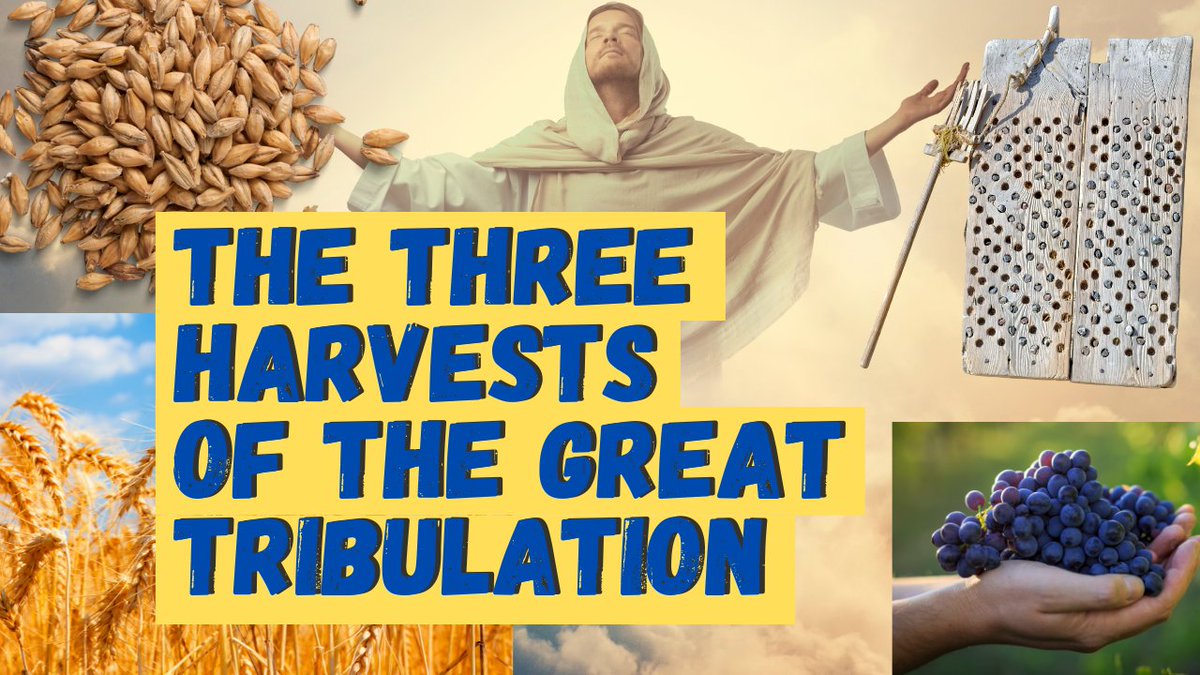 New video: annmariemichaels.com/three-harvests/ Why I think the 7 years of the Great Tribulation will end this year, why there are actually 3 harvests, and how they line up with the holy days: Passover, Shavot and Sukkot.