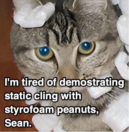 Federico Cingolani tweet media