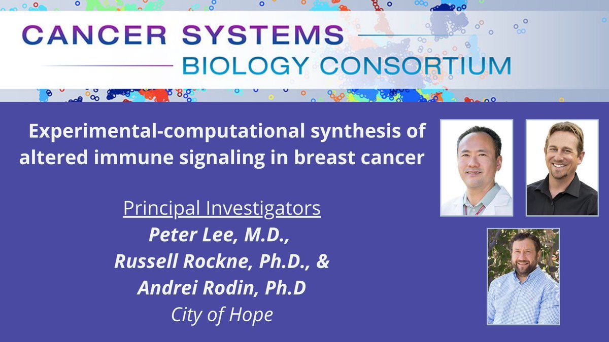 Dr. Russell Rockne (@rrockne) et al. @cityofhope #NCICSBC are developing experimental and computational tools to study altered immune signaling in #BreastCancer. cancer.gov/about-nci/orga… #BCSM