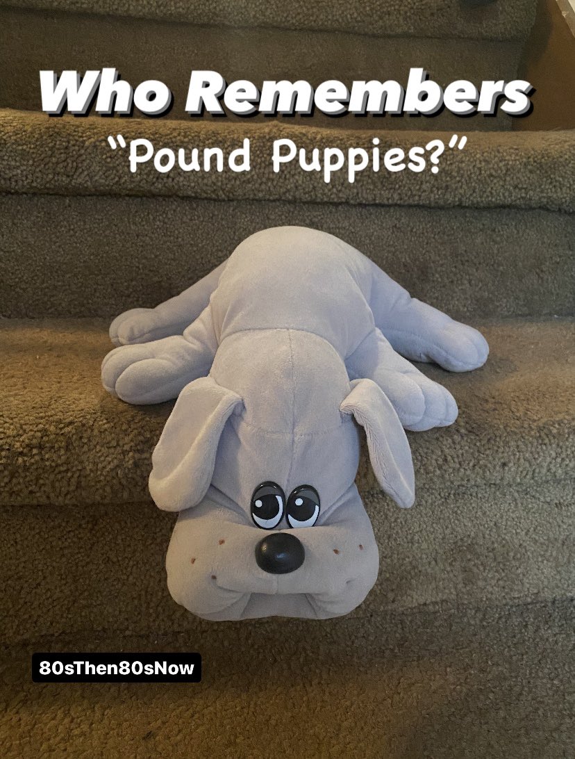 80sThen80sNow's tweet image. Released in 1984 By Tonka, Pound Puppies Were the Animal’s Version of Cabbage Patch Kids in That You Could Adopt and Give Them a Great New Home.  A Year Later it Was the Cat’s Turn and We Were Introduced to “Pound Purries.”