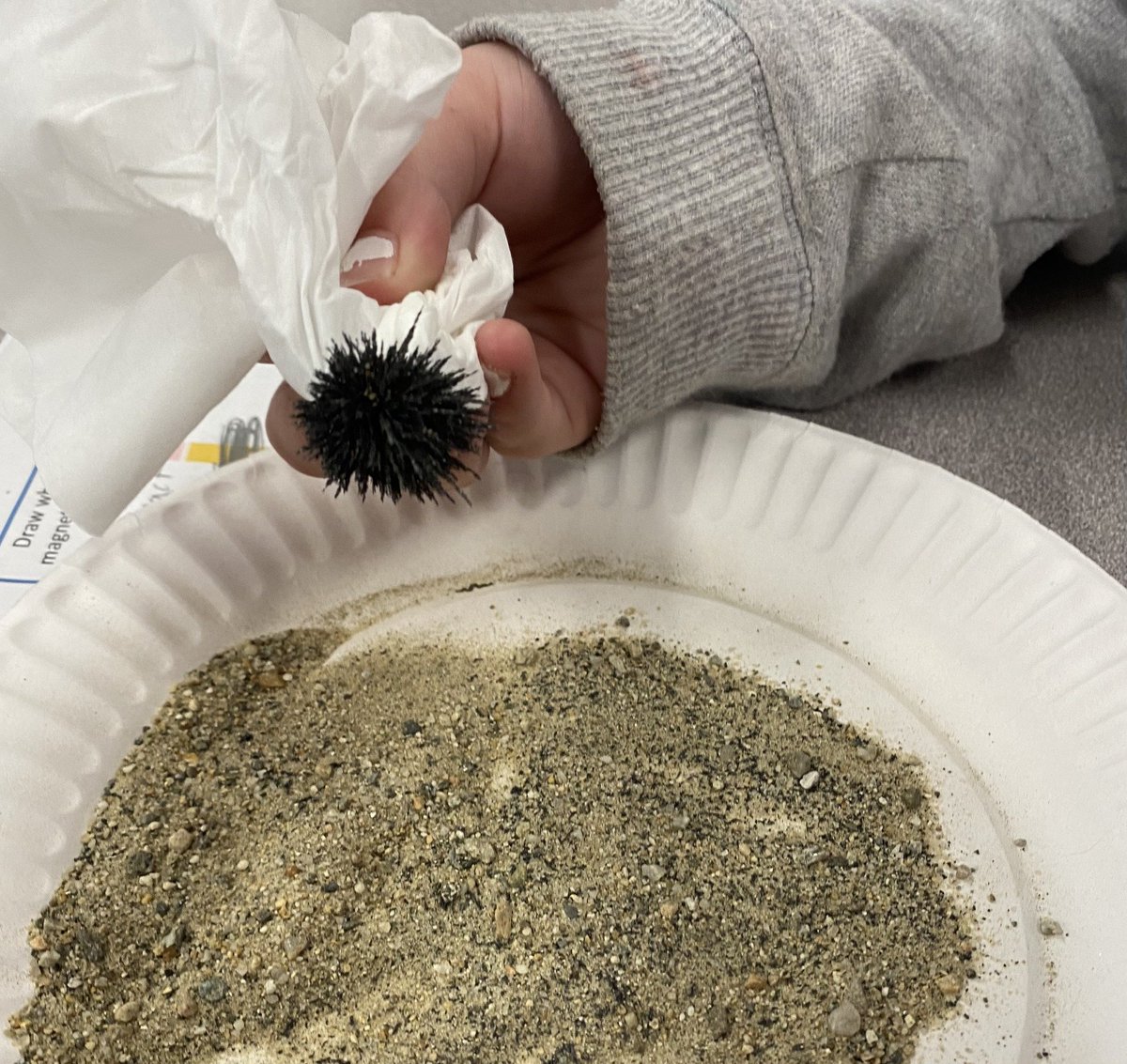 Science Engineering Education Development (SEED) tweet media