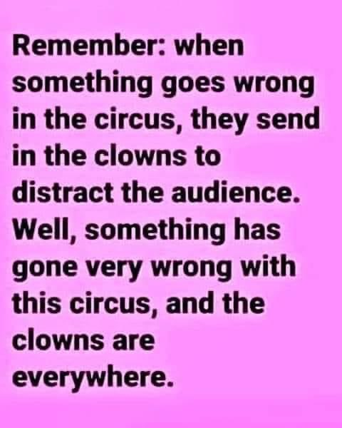 2nd May we can start to get rid of the circus 🤡🎪
#LocalElections #ToryWipeout #VoterID #Vote ❌