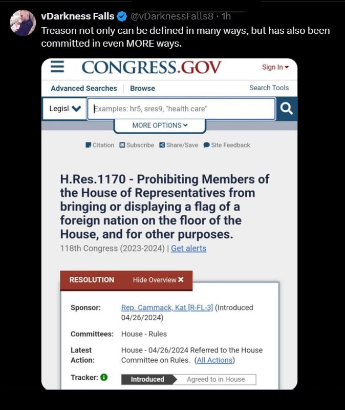 #Treason not only can be defined in many ways, but has also been committed in even MORE ways... 🇺🇦
#HouseOfRepresentatives #Ukraine #flags