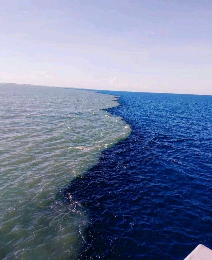 'He released the two seas, meeting (side by side), Between them is a barrier (so) neither of them transgresses' 

· Qur'an (55: 19-20)
