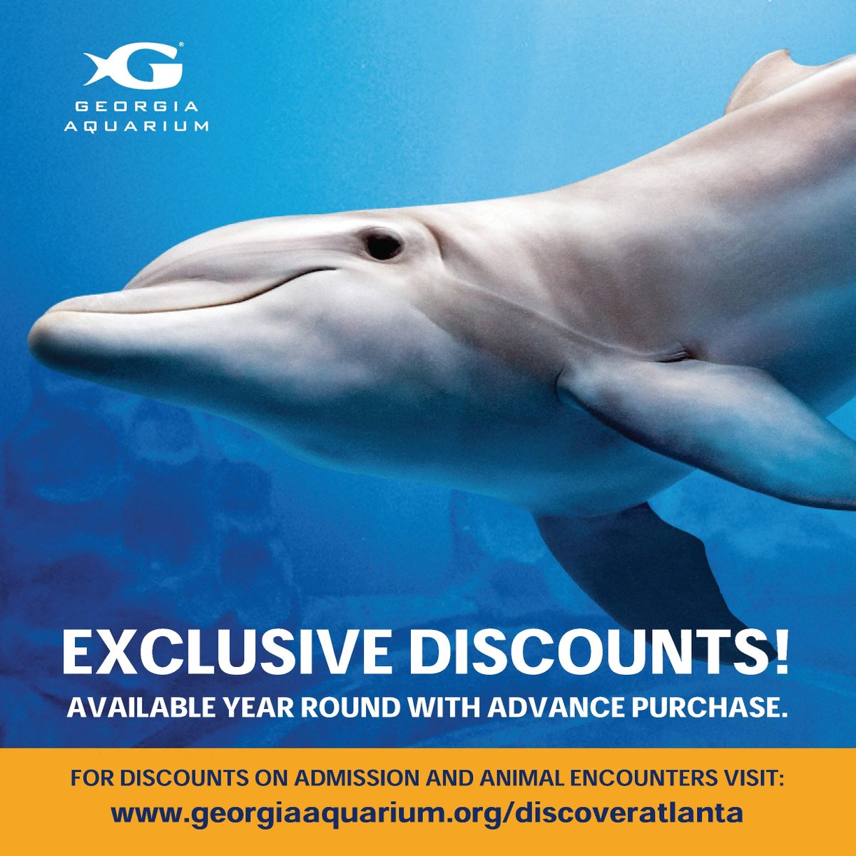 Hey y'all! We've been having some fun talks with the Georgia Aquarium, and they asked us to share this special discount with you! Their A-MAY-Zing sale is live! Using the link below, tickets to the Aquarium are 20% off for the month of may! 🦦🐳 georgiaaquarium.org/club-fish/disc…