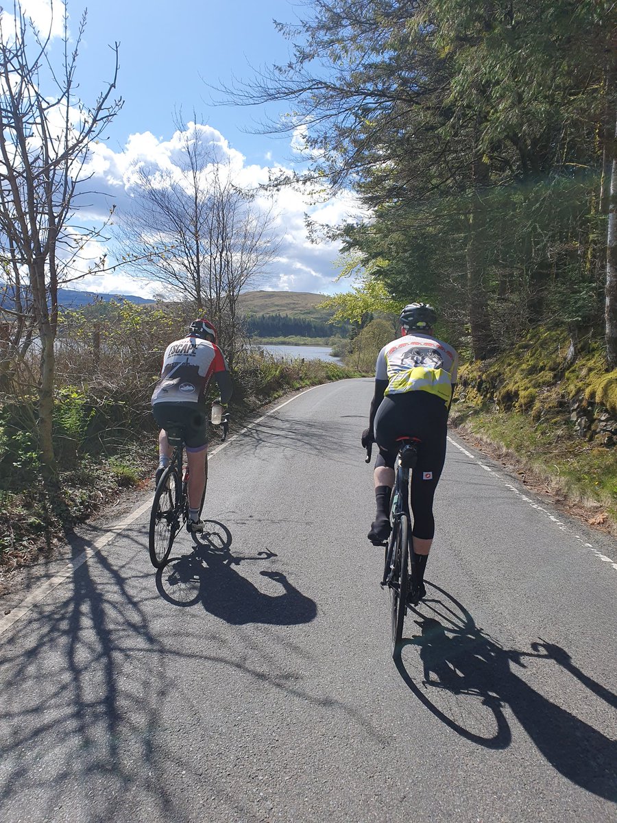 Stephen Whiston tweet media