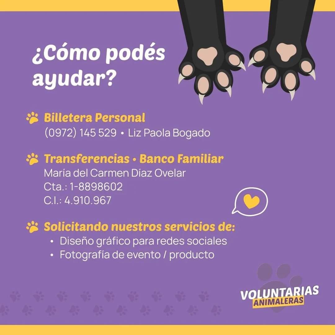Voluntarias_A's tweet photo. Necesitamos enterogermina 😪. Algunos de nuestros rescataditos están con un cuadro diarréico. Ya los llevamos a la vete para una revisión pero necesitan enterogermina para recuperarse 100% ya que son muy bebés 😭.  Danos una mano! https://t.co/7JEPJV0HWY