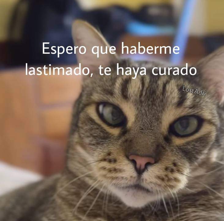 En Júpiter (@en_jupiter_) on Twitter photo 