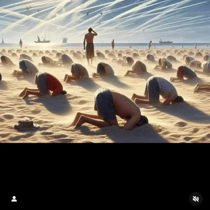 All of you

#GeoEngineering 
#ClimateScam
#ClimateCult