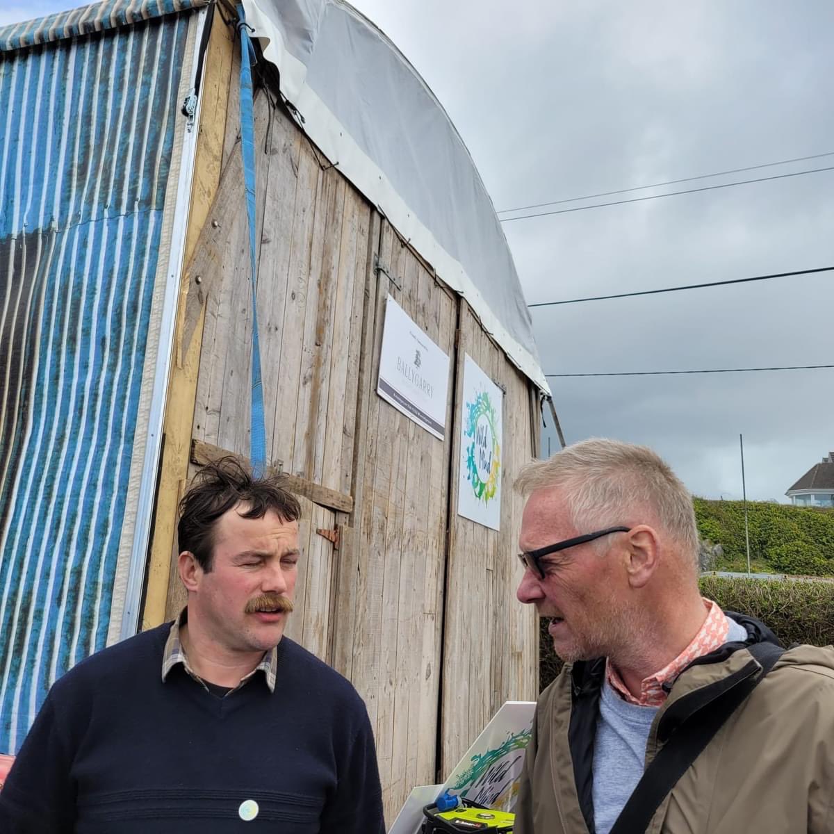 Irish Whale and Dolphin Group tweet media