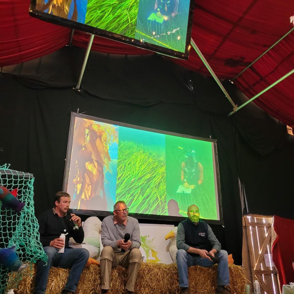 Irish Whale and Dolphin Group tweet media