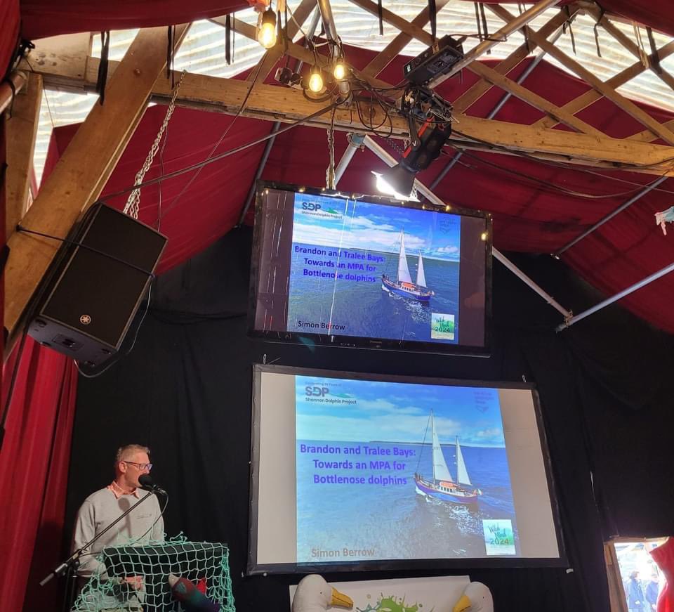 Irish Whale and Dolphin Group tweet media