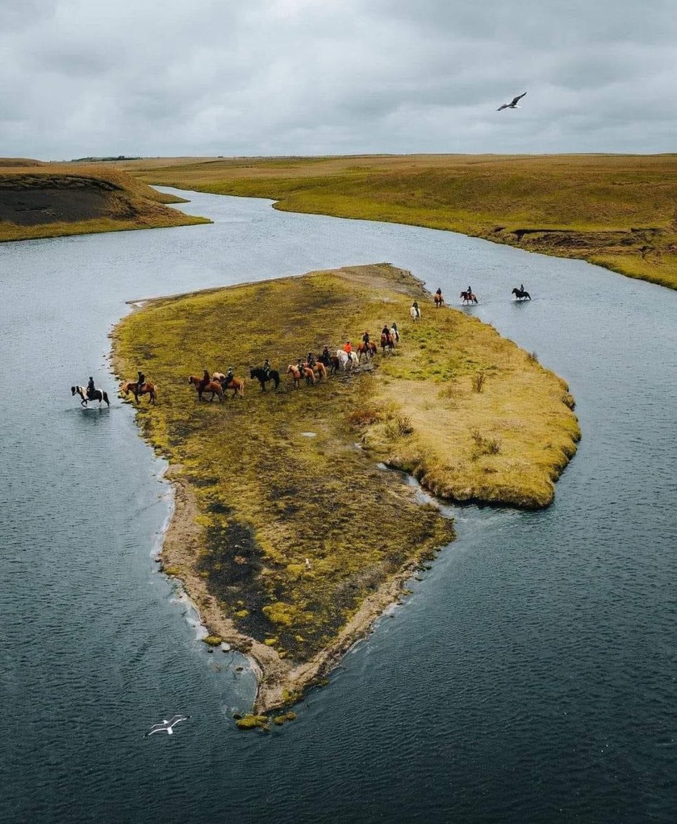 يخترقون الماء بخيولهم . - أيسلندا 🇮🇸