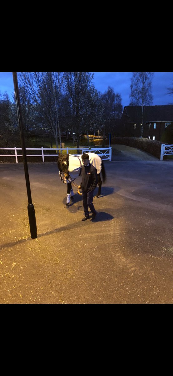 Jacob Powles tweet media