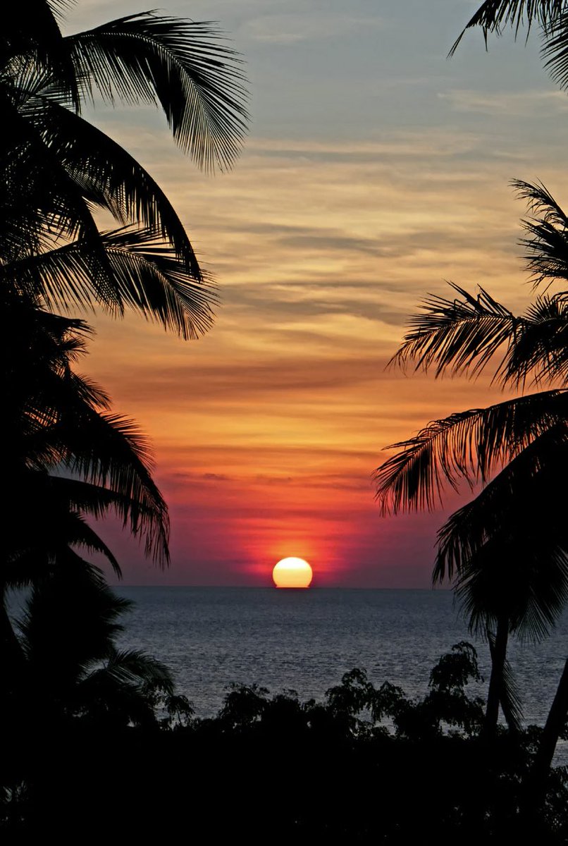 Tropical sunset 🌴🌅