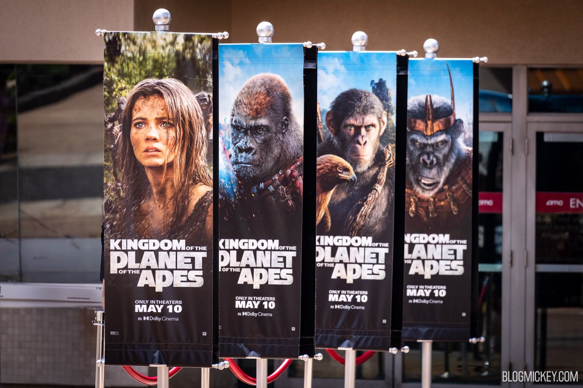 Over at the @DisneySprings @AMCTheatres, @ApesMovies receives the red carpet treatment #KingdomOfThePlanetOfTheApes