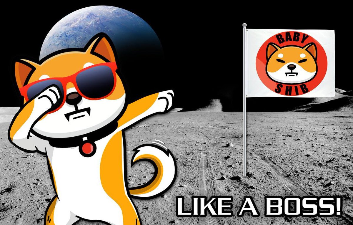 Houston, we have no problem!

#Babyshib is on autopilot to the moon. 🐕