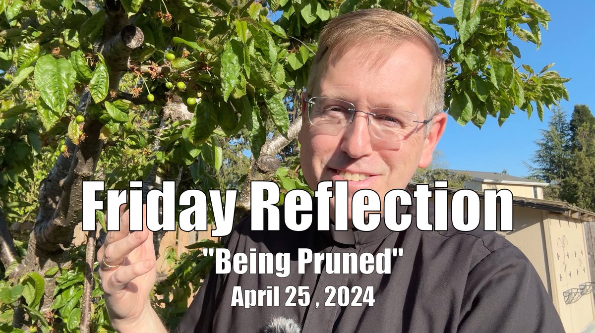 frbill66's tweet image. Sorry this is late: Friday Reflection: &quot;Being Pruned&quot;
frbill.org/new-page-2 #VineAndBranches #Pruned @archdpdx