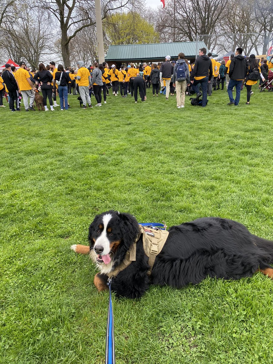 Dean Hamilton tweet media