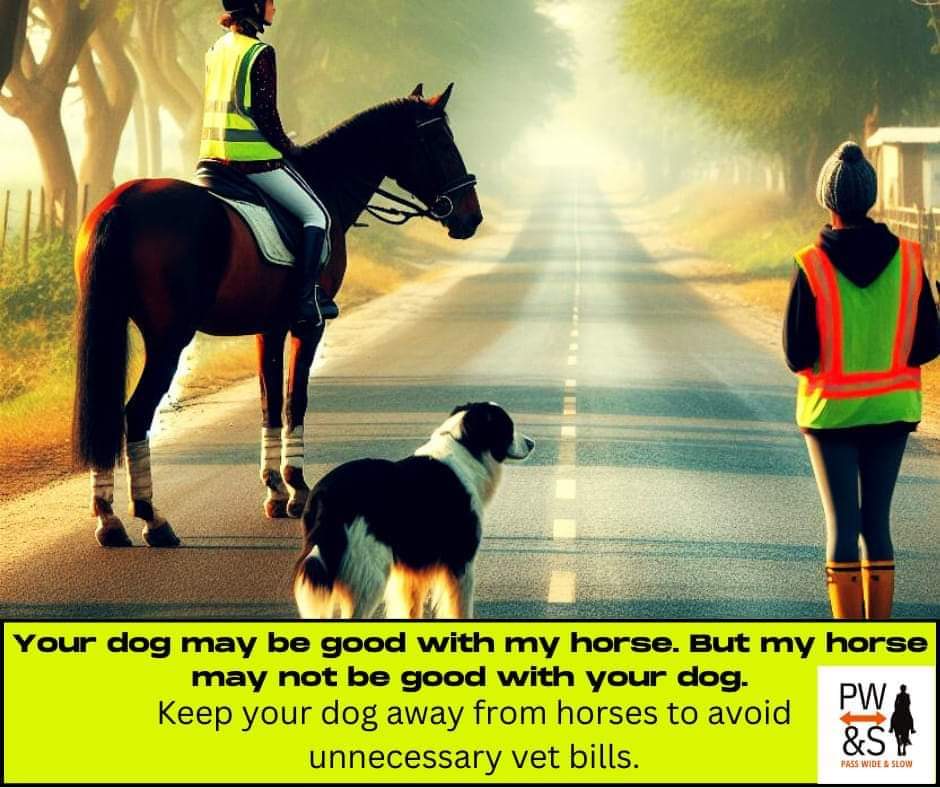 Horses are flight animals. Not all horses are good with dogs, especially when they go in the horses blind spots (the horses can't see at certain points- directly in front of them and behind them) For the safety of everyone, keep your dog's away from horses. #horses #dogs