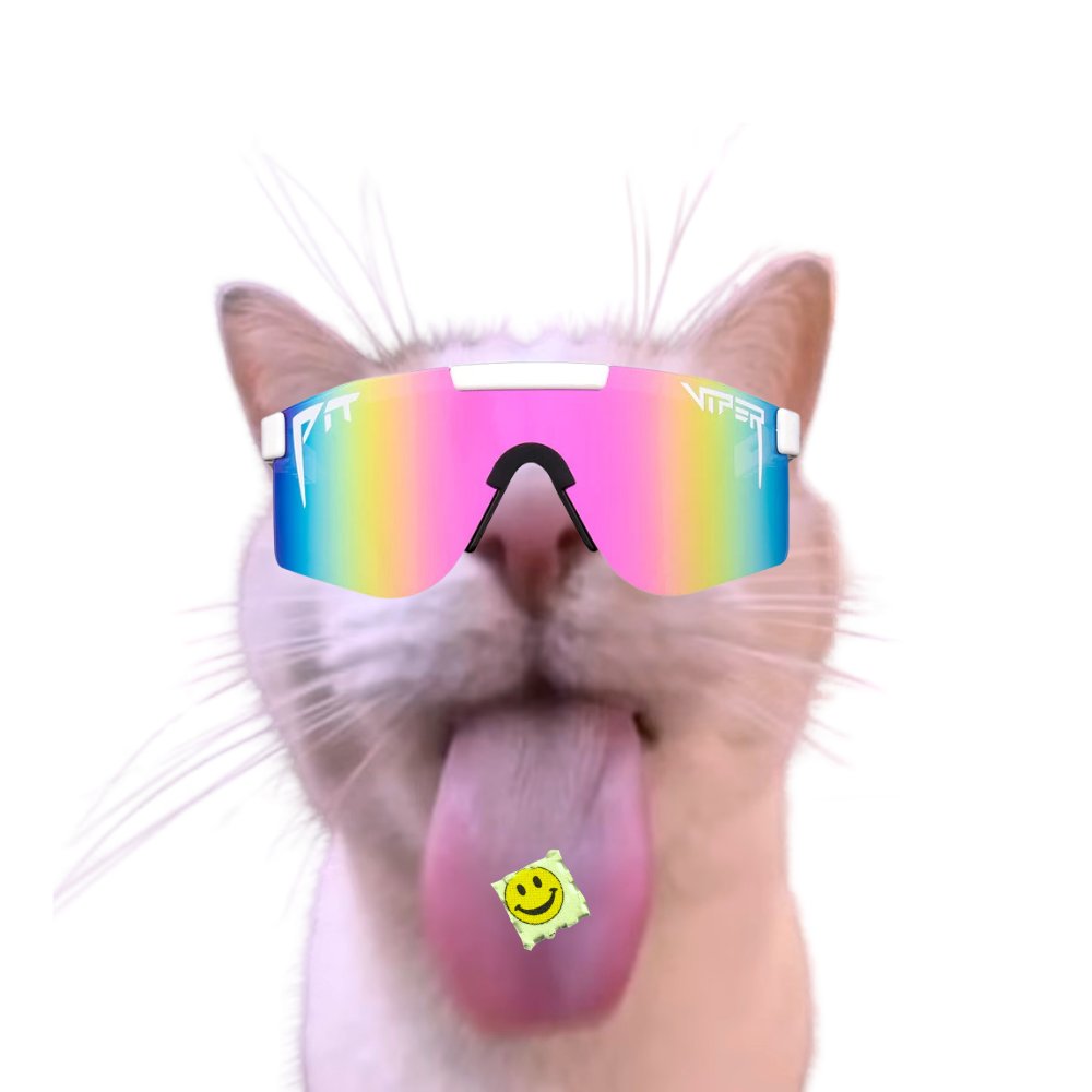 LSDcat_sol's tweet photo. @itsbaabo @LuckiWeb3 yes it me henlo https://t.co/lwTLIS4r2K