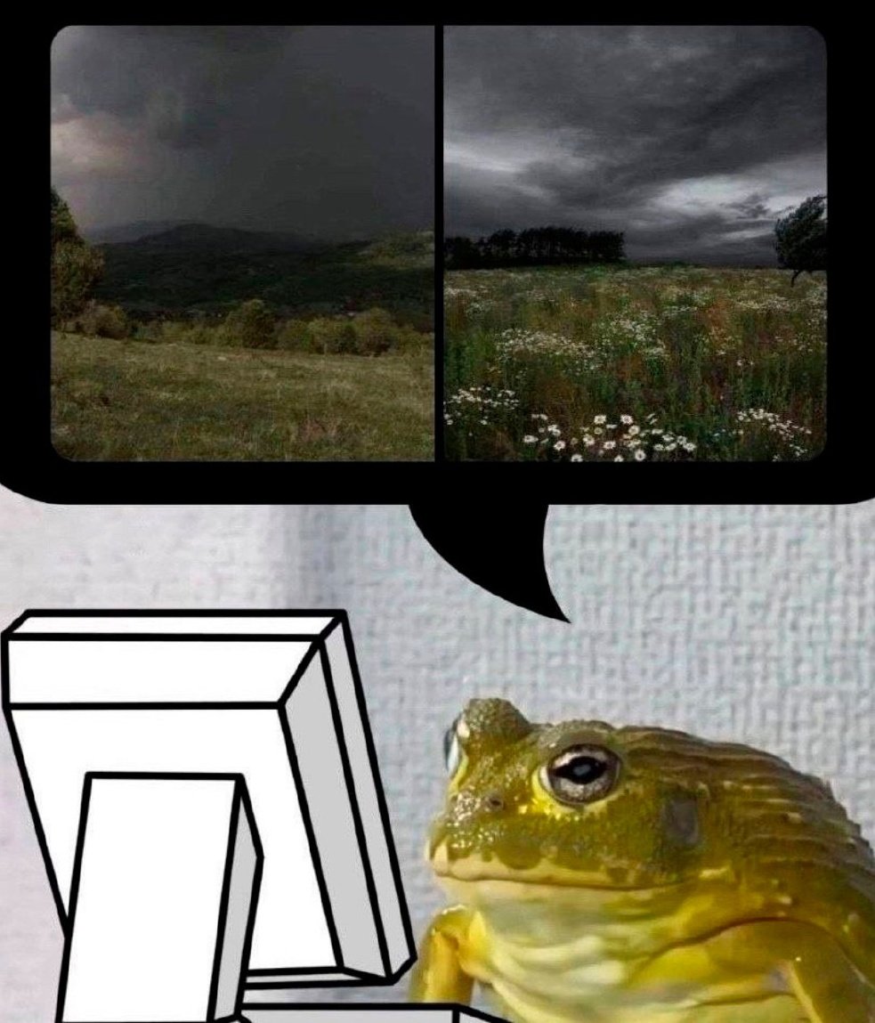 Every programmer's favorite weather