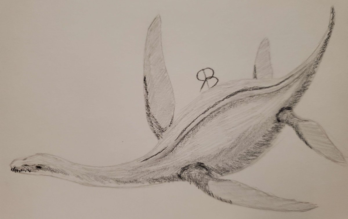 Plesiosaurus
#charcoal #charcoaldrawing #paleoart