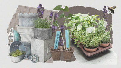 kseitel's tweet photo. Consider this your ultimate guide to a garden no matter the location or skill level https://t.co/xfmztddoN3 https://t.co/tvLEU3zXzw