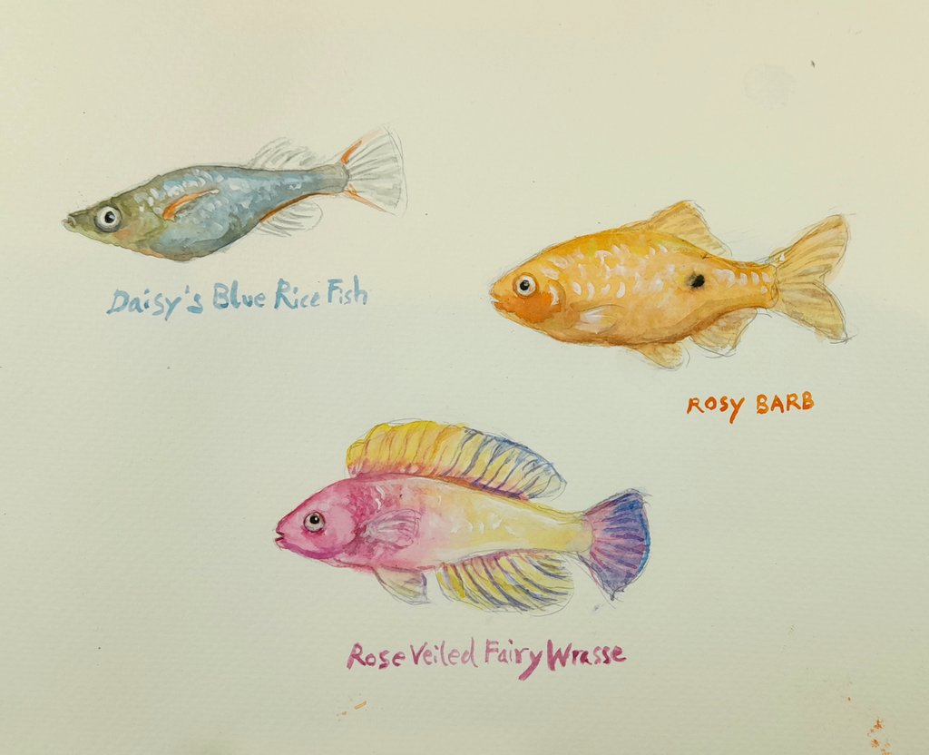 speed painting ... the fish I googled for todays #fishtheme but didn't have time for. #SundayFishSketch