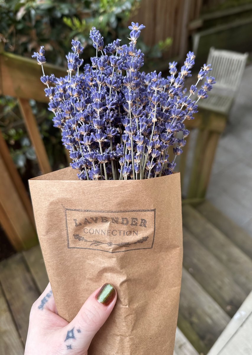 i am so very stressed but my boyfriend went to the farmers market and brought me back a raspberry filled pastry and a huge bundle of beautiful lavender so everything is perfect now actually!