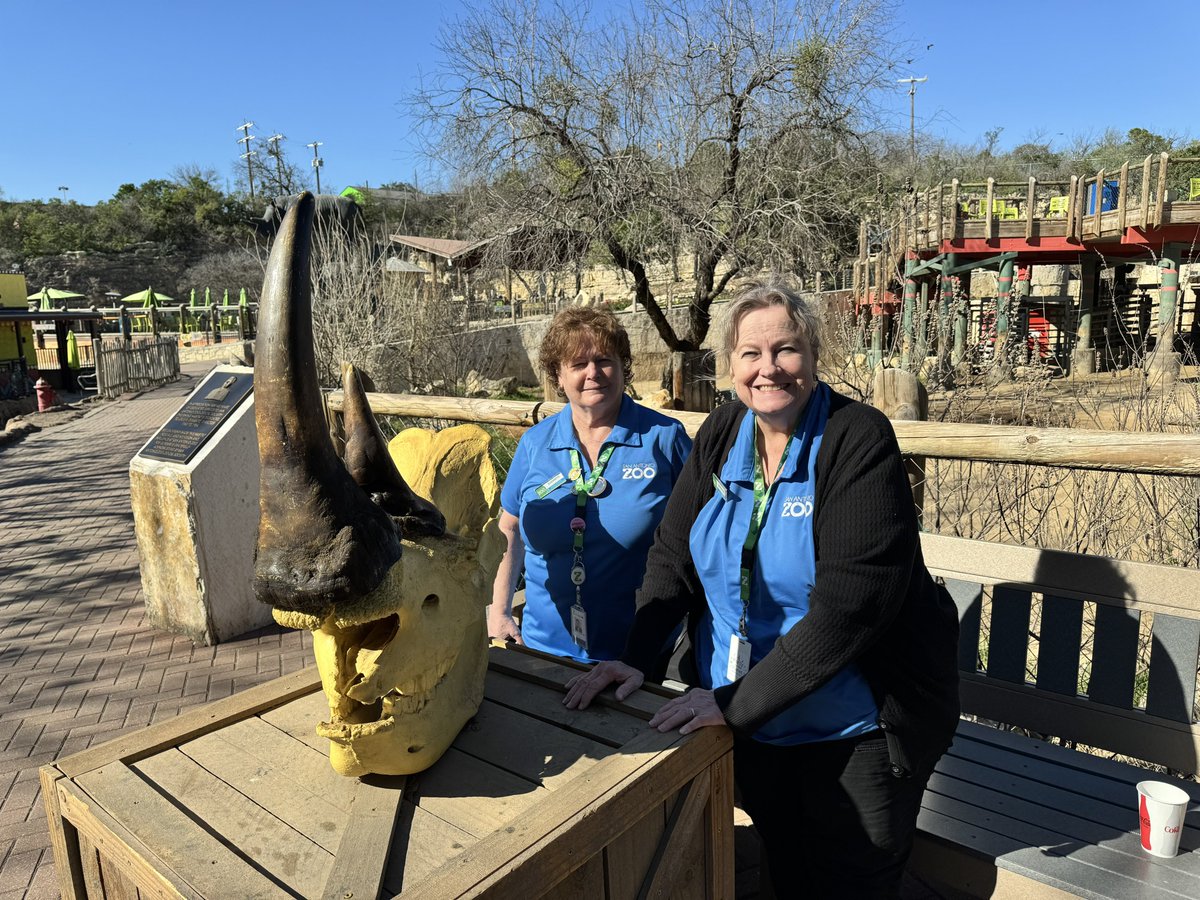 In the spirit of #NationalVolunteerWeek, we’d like to honor the unwavering commitment of our volunteers at San Antonio Zoo! From educational programs to conservation efforts, their dedication has made a profound impact. They are the true champions of our mission. 💚🧡 These are…