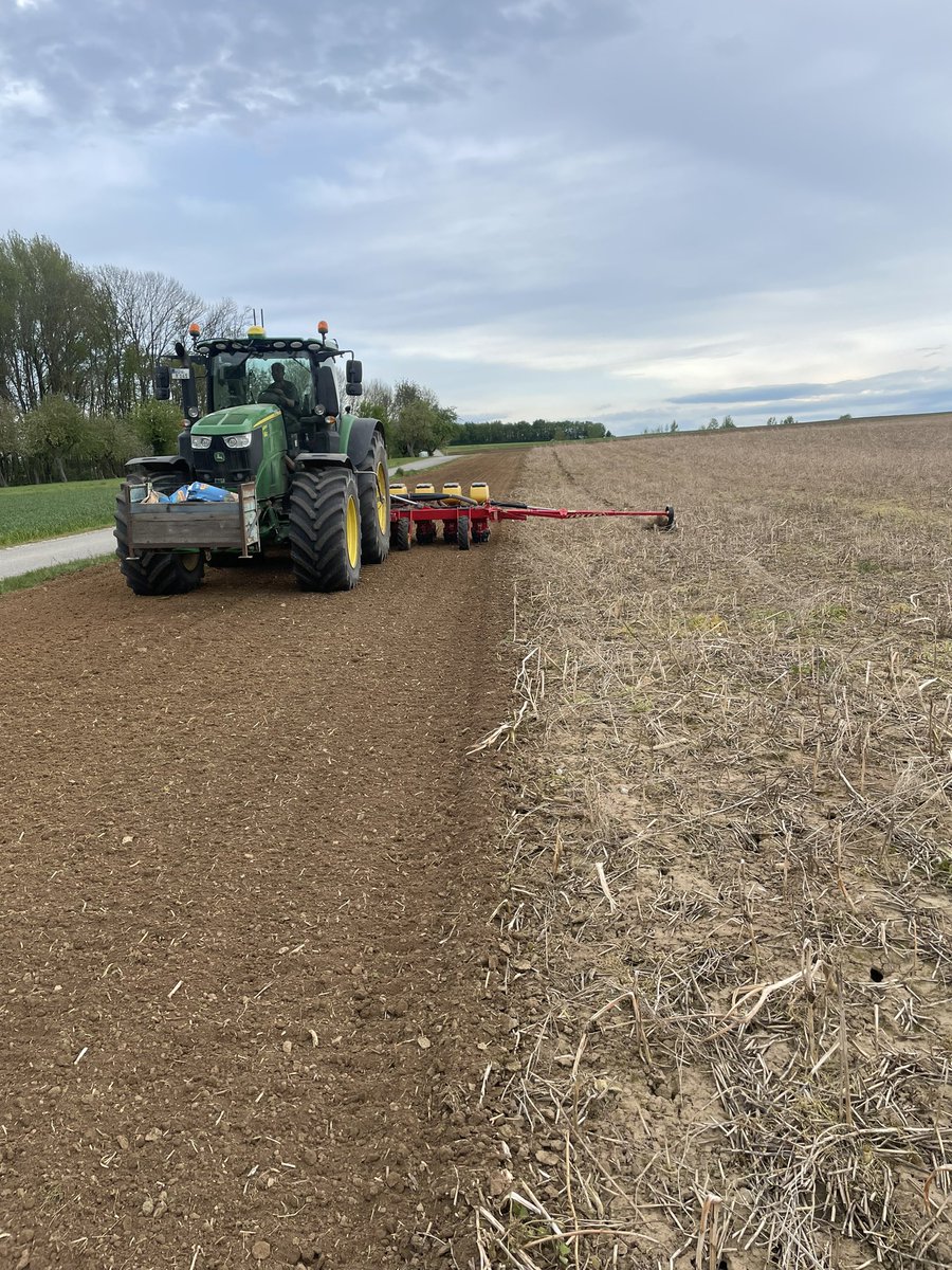 Wir haben 6 m am Feldrand, nachdem dieser zur Straße hin mit Löss angefüllt wurde, mit dem AgriFarm Europlan II bearbeitet. Ich war ehrlich gesagt geschockt, wie sehr der Löss dadurch pulverisiert wurde. Danach ging’s zum Glück mit Direktsaat weiter. #foxtownontherock #tempo #DS