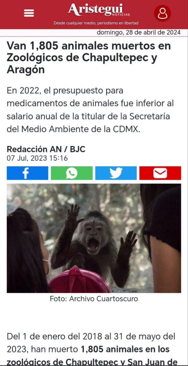 La ASESINA #NarcoCandidataClaudia50 también mató a los animales del
Zoológico, para robarse ese dinero  y seguramente mandarlo a #SheinbaumFamilyPanamaPapers