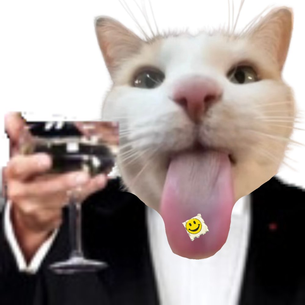 LSDcat_sol's tweet photo. @IHunt100xGems they must not be on $lsd, couldn't me

im seeing all kinds of funky colors

come be frens with us - https://t.co/ueSIWzD8dX https://t.co/0aePC3ssgu