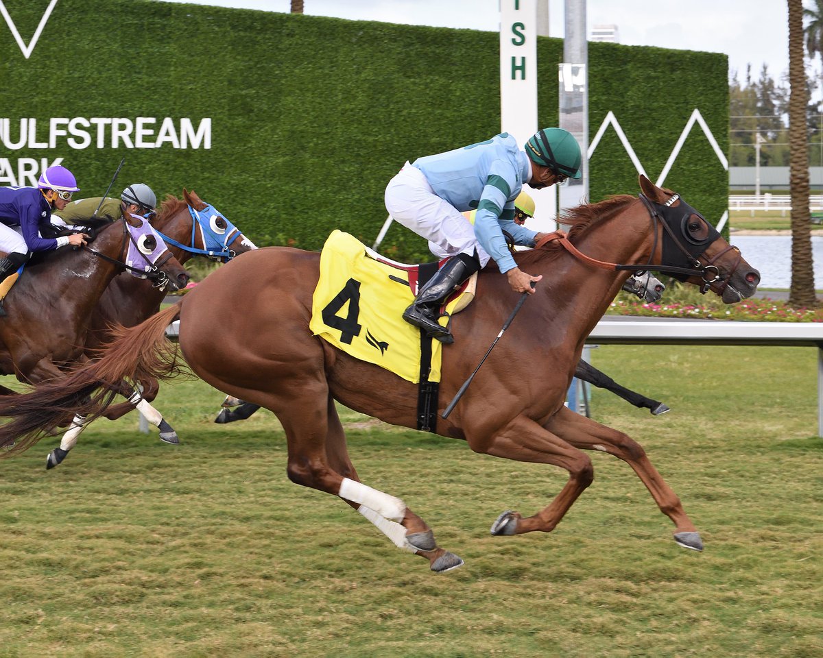 Saint in the City defeats Cap'n Dusty to deliver in the finale, @bravoace at the reins for trainer William Mott. #GulfstreamPark #RoyalPalmMeet