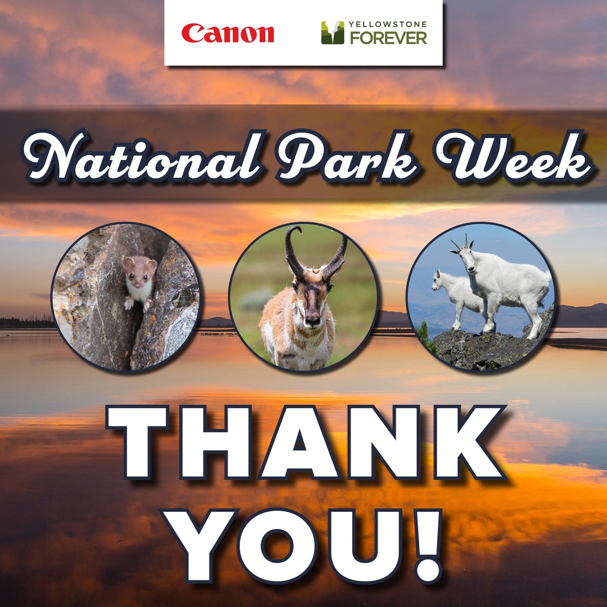 CanonUSA's tweet image. Thank you for keeping up with our #NationalParkWeek content! We hope you enjoyed learning more about our park-nership with @ynpforever 🏞️

Do you have a favorite national park? Let us know in the comments!