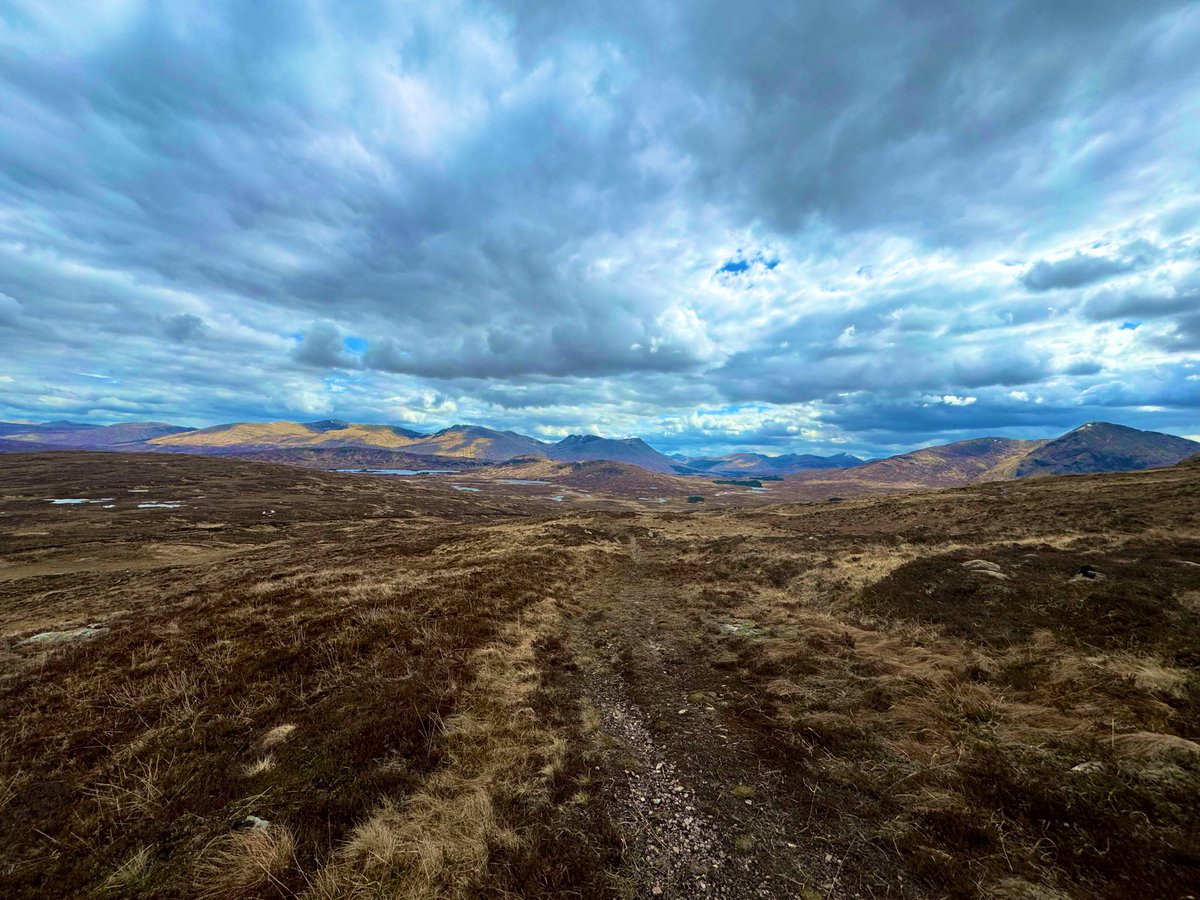 Dave Nadig tweet media