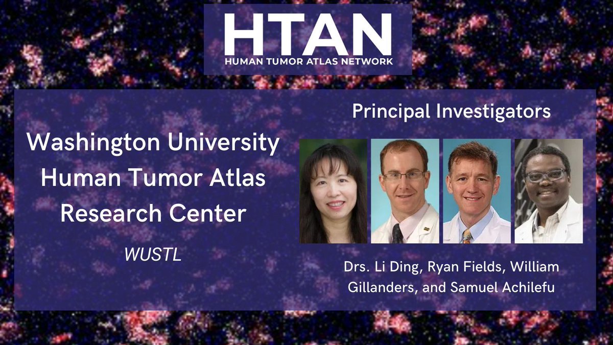 #HTAN investigators @WUSTLmed are determining mechanisms of breast and pancreatic cancer evolution in response to treatments and how #therapeuticresistance develops over time. humantumoratlas.org/hta12 #CancerMoonshot