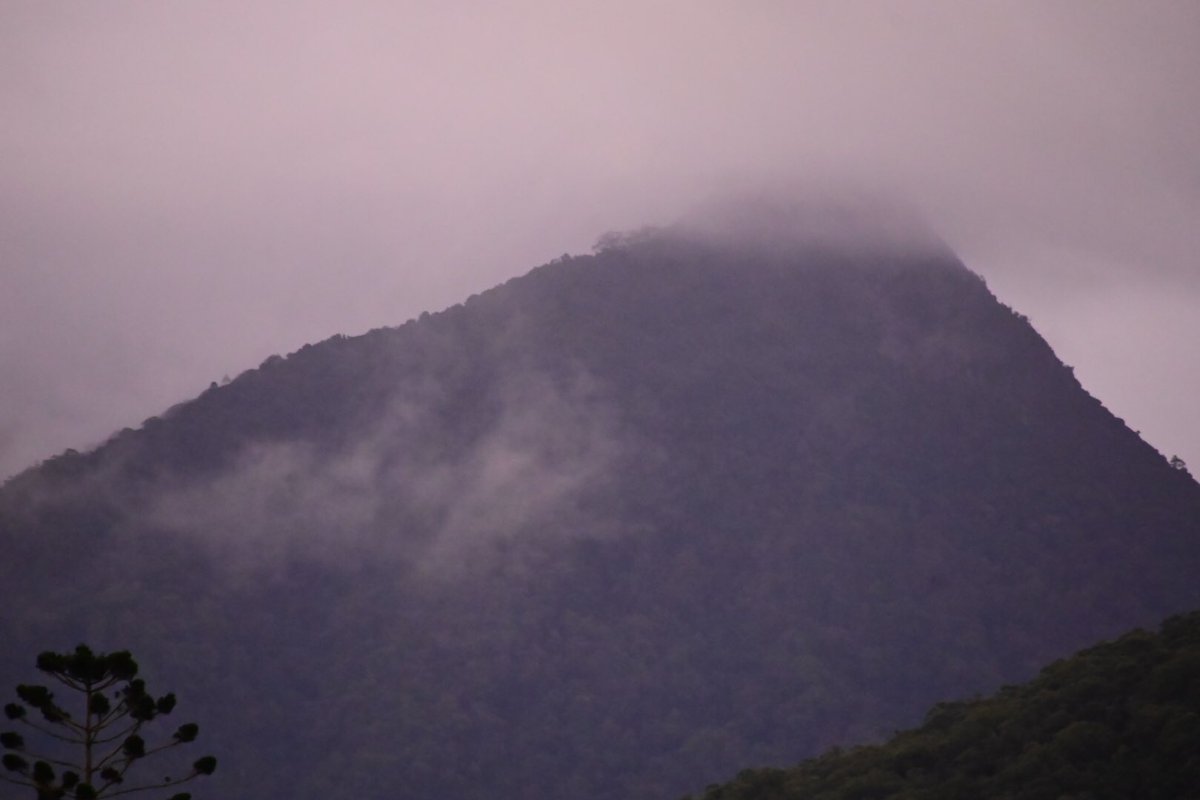 Hi All,
Now we are at “Crams Farm Reserve” at Doon Doon a hop skip and a jump from UKI (21k away) Mt Warning ⛔️ as a feature 
#nikonz6ii #z6ii #mynikonlife 
@olivia_brisbane @DiQld 
@HarleyRozeBBW
@Bildagraham1