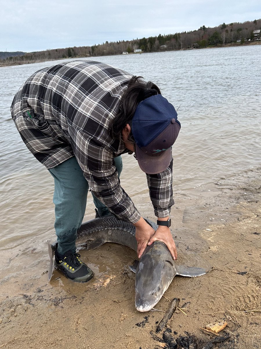 Deb Pine tweet media